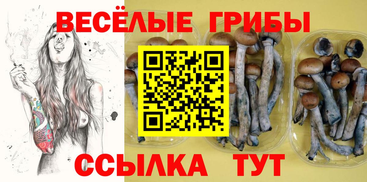 Псилоцибиновые грибы Magic Shrooms  где продают   Вход с VPN  Уварово  Псилоцибиновые грибы мицелий 
